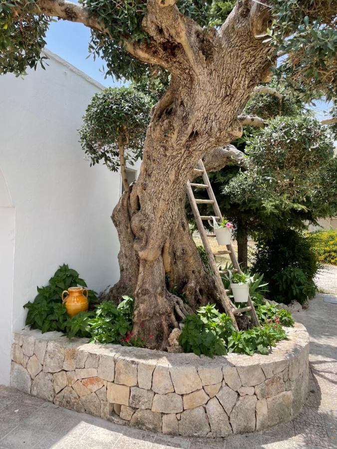 Il Trullo Di Nonno Licchio Villa Alberobello Exterior foto