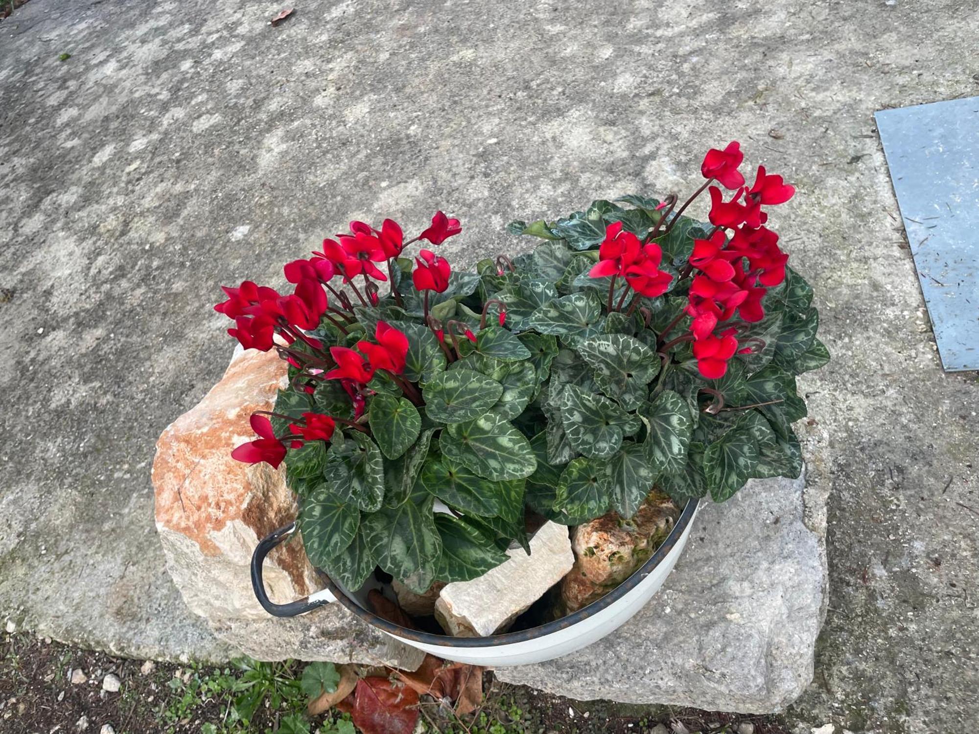 Il Trullo Di Nonno Licchio Villa Alberobello Exterior foto