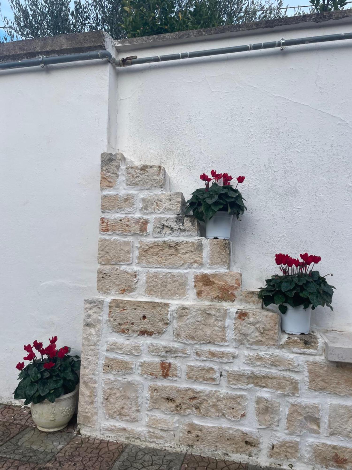 Il Trullo Di Nonno Licchio Villa Alberobello Exterior foto